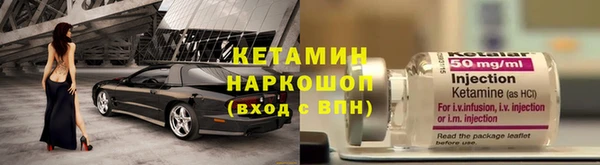 шишки Абаза