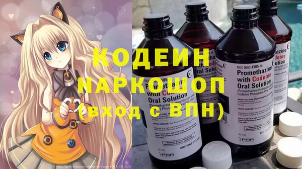 шишки Абаза