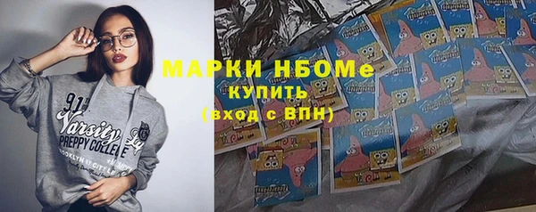 шишки Абаза