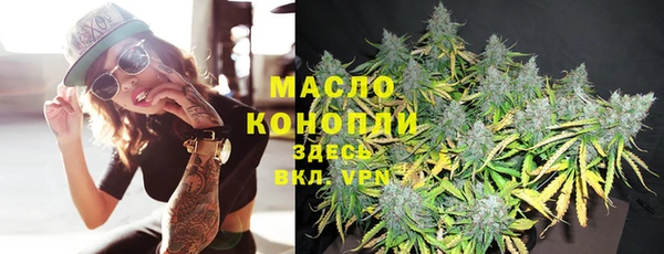 шишки Абаза