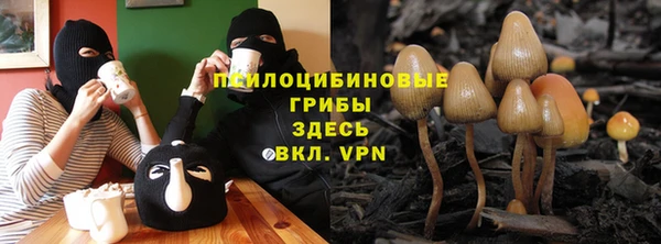 шишки Абаза