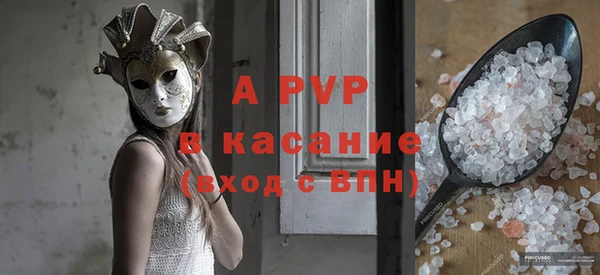 шишки Абаза